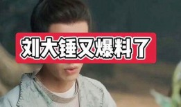 爆料娱乐圈的博主大锤有哪些,独家爆料背后的真相与内幕