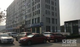 八菱花园最新爆料,揭秘神秘豪宅背后的故事与传奇”