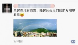 彩虹爆料视频大全,揭秘娱乐圈幕后故事